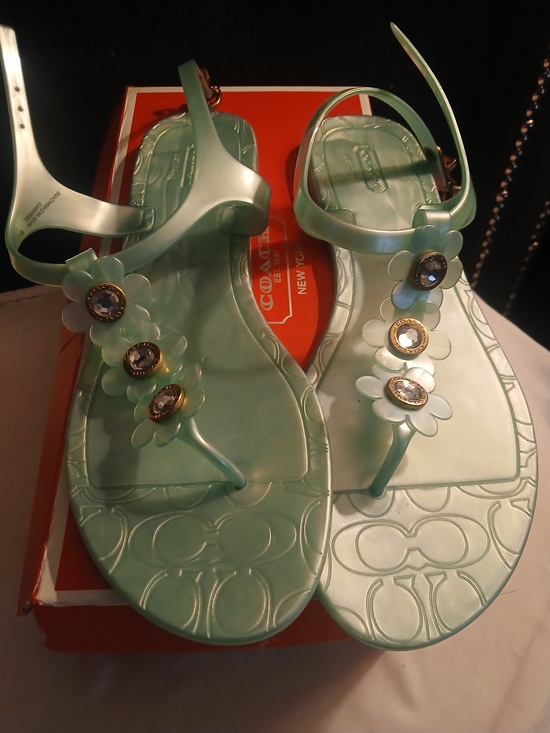 Coach Shoes - Coach Mint Green Paisley Jelly Thong Sandals with Floral Gem Accents Size 11
